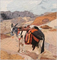 Winner - In the Eyes of a Donkey by Christine Plowman